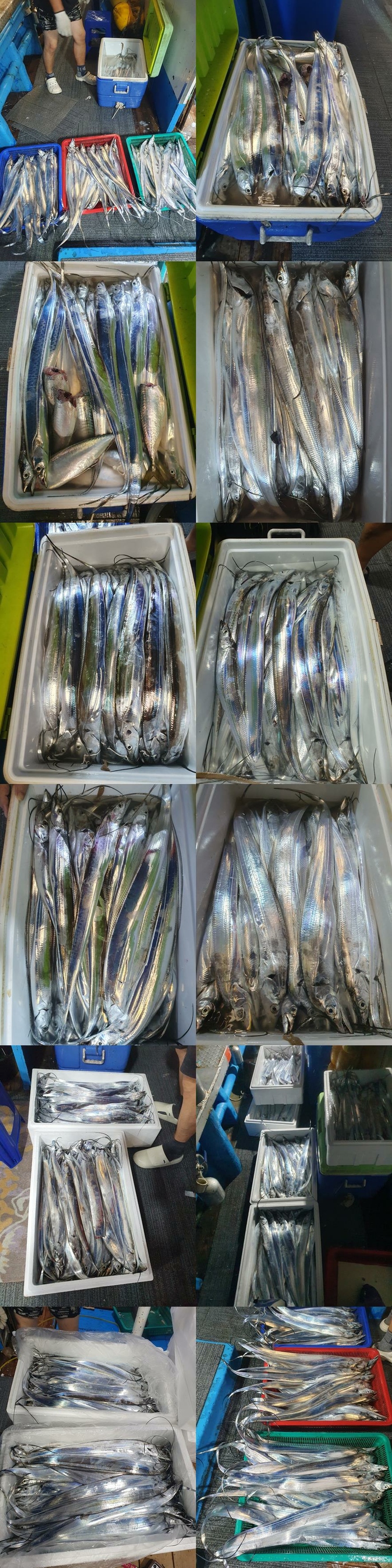 07eb35204553afe8c6c4d4acb08cbddf_1757287829_6601.jpg