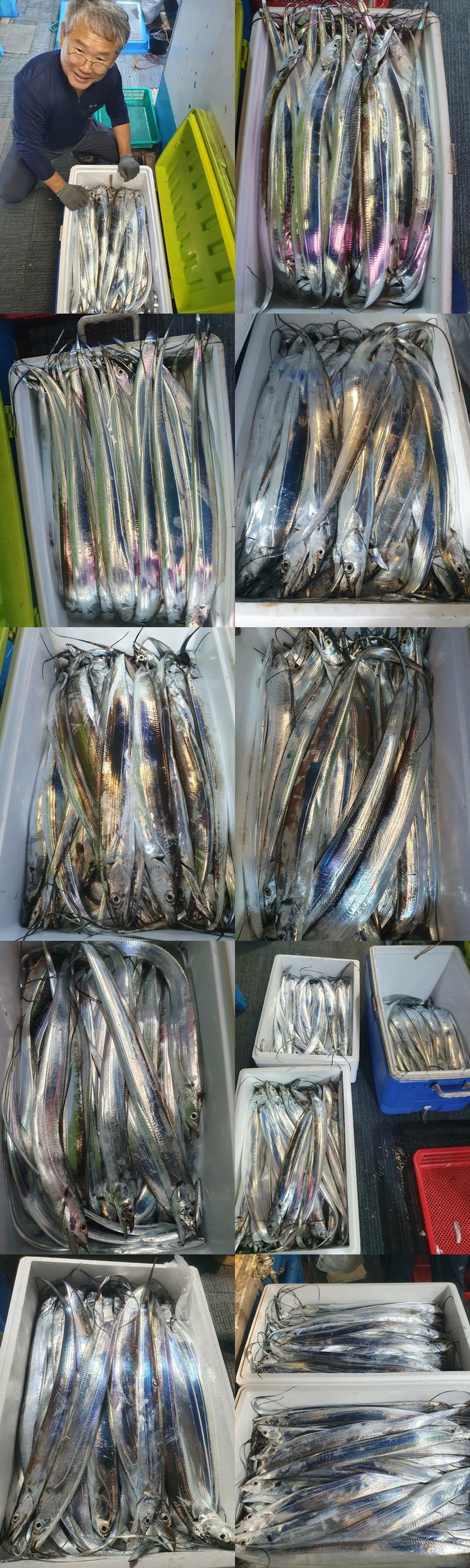 3a84dca9fc70b638924eee9403307765_1758327365_8614.jpg 3a84dca9fc70b638924eee9403307765_1758327365_8614.jpg