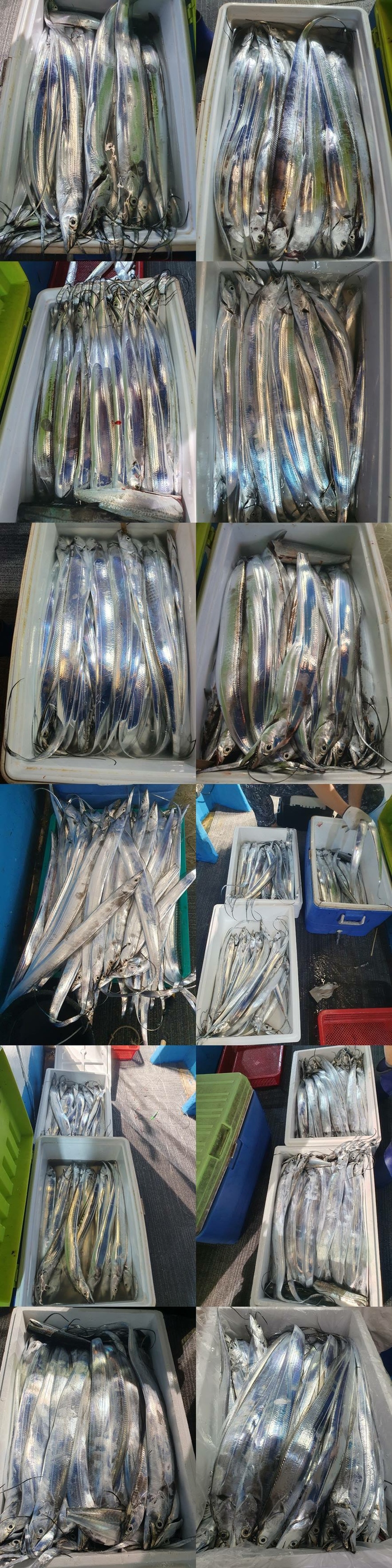 7d162d9cc49a90957d0c861389f4b99b_1758420795_202.jpg 7d162d9cc49a90957d0c861389f4b99b_1758420795_202.jpg