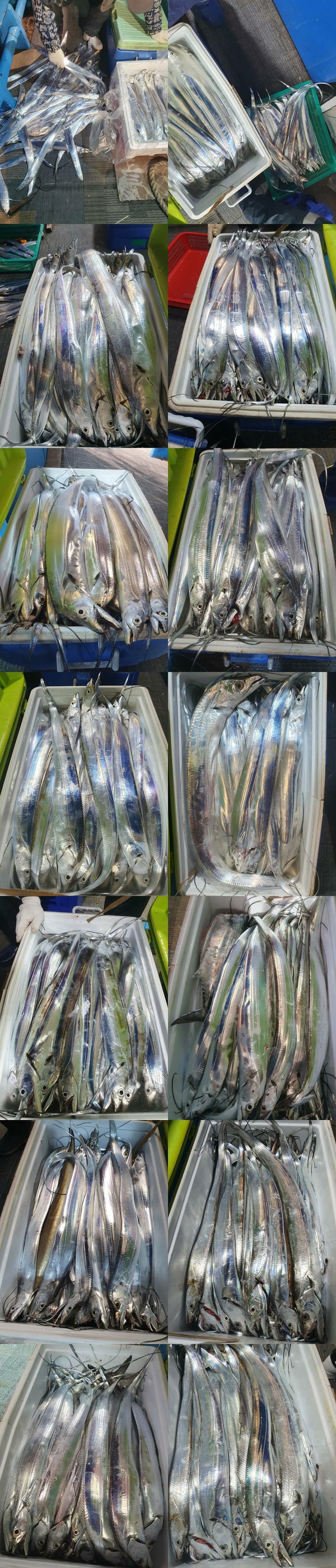 0cb3a2cbe0a8c1a9758f32f37bc98cfd_1761701944_8012.jpg 0cb3a2cbe0a8c1a9758f32f37bc98cfd_1761701944_8012.jpg