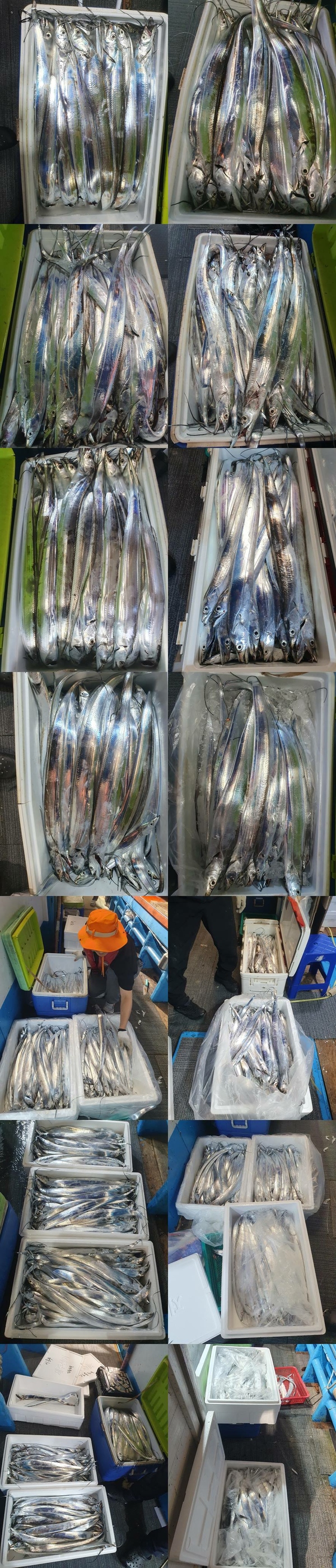 279e3bf0fd9d3dc8c692ff0443e5e464_1759278973_0976.jpg 279e3bf0fd9d3dc8c692ff0443e5e464_1759278973_0976.jpg