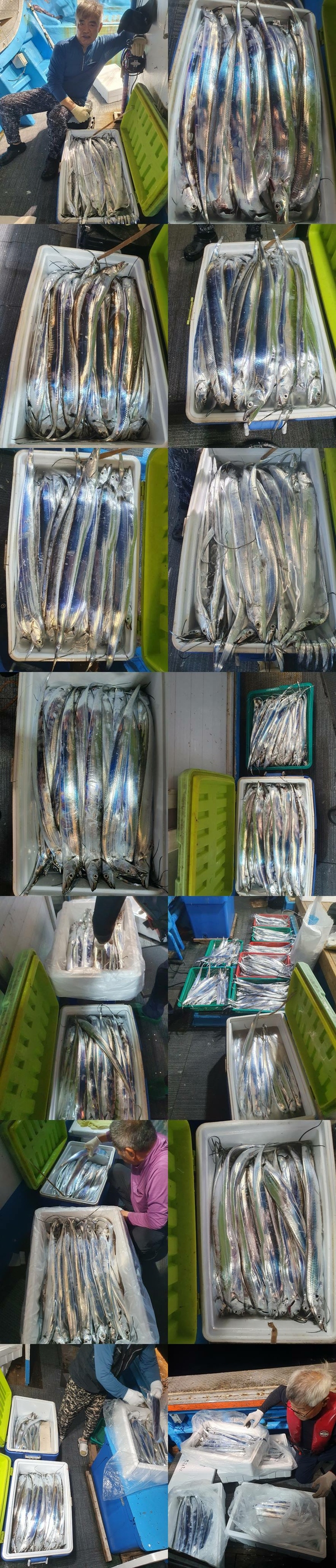 4104a0faa0d15356ce466f38ae310183_1759373470_6464.jpg 4104a0faa0d15356ce466f38ae310183_1759373470_6464.jpg