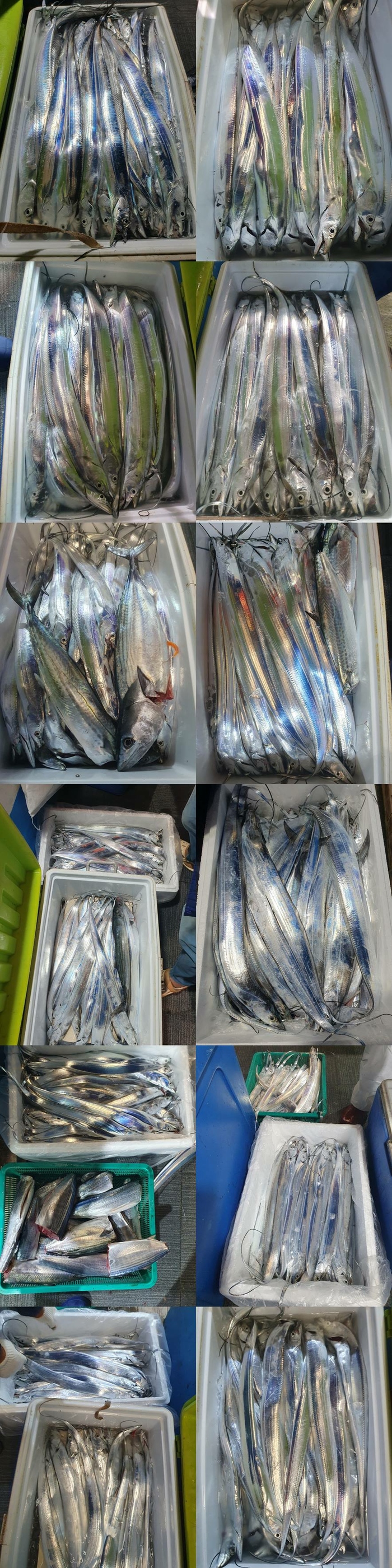 42b9a4b3d164abb14f1a0000fb2e82f2_1761611870_7001.jpg 42b9a4b3d164abb14f1a0000fb2e82f2_1761611870_7001.jpg