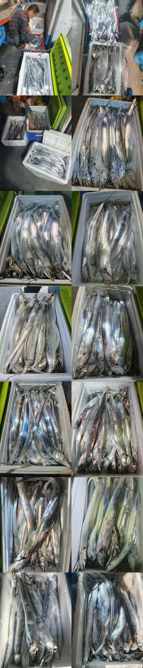 6dd67a48f145d82c5167c7cef1ec2c01_1761352906_1891.jpg 6dd67a48f145d82c5167c7cef1ec2c01_1761352906_1891.jpg