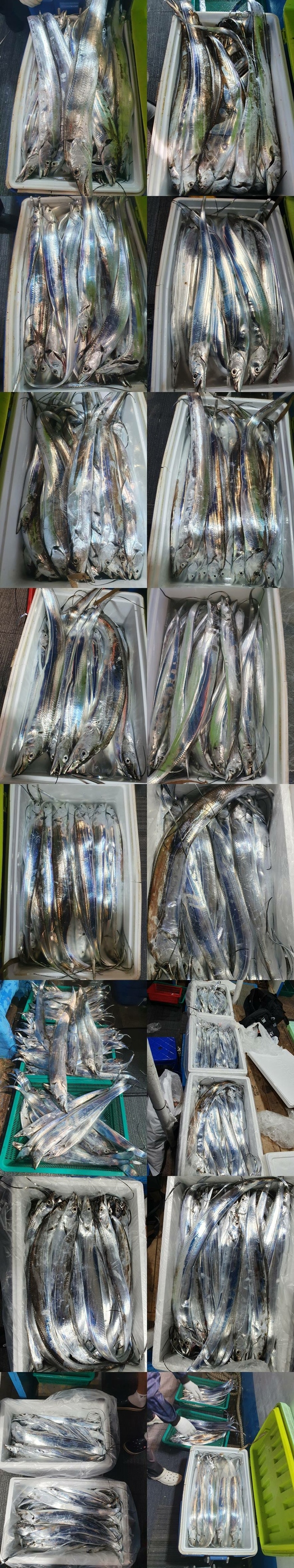 eda38148d03cc879ba82b6bdc679849b_1760229230_0735.jpg eda38148d03cc879ba82b6bdc679849b_1760229230_0735.jpg