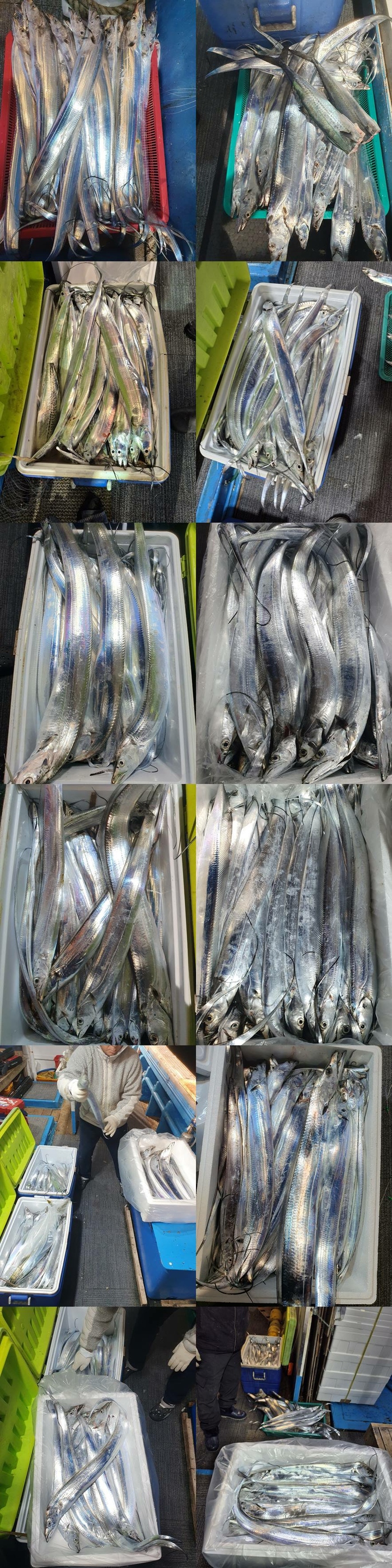 71ed0e3bdf3b8ed6991a5e8edc1f9280_1763092512_8454.jpg 71ed0e3bdf3b8ed6991a5e8edc1f9280_1763092512_8454.jpg