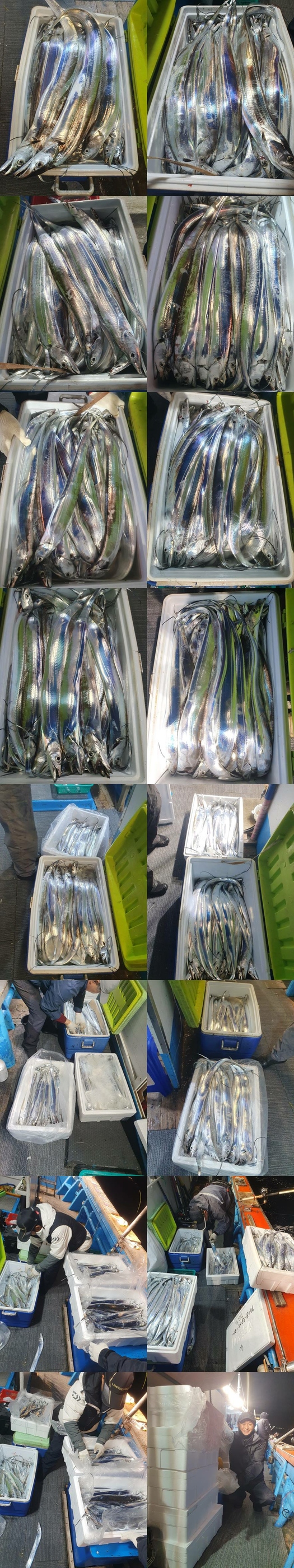 8505d157727c1a67669547a81455c7c1_1763250997_801.jpg 8505d157727c1a67669547a81455c7c1_1763250997_801.jpg