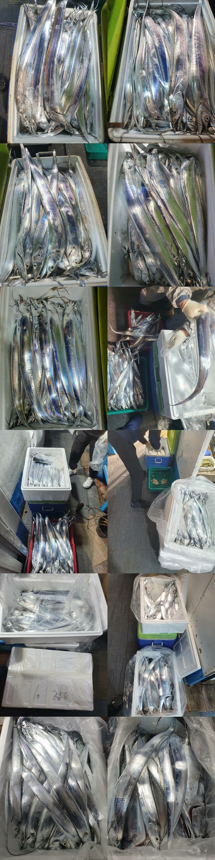 d8aaf4918b8329e54b3e3d8805f1693a_1763192160_7571.jpg d8aaf4918b8329e54b3e3d8805f1693a_1763192160_7571.jpg