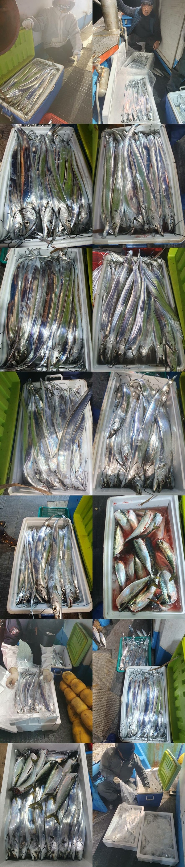 5baddf80575bf2714aa3295b375eaacf_1765844046_1886.jpg 5baddf80575bf2714aa3295b375eaacf_1765844046_1886.jpg